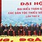 Các Chính Sách Công Của Việt Nam Hiện Nay Như Thế Nào