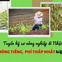 Đơn Hàng Thực Phẩm Nhật Bản 2022 Là Gì Ạ Tiếng Anh