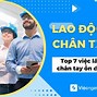 Người Lao Động Chân Tay Trong Tiếng Anh